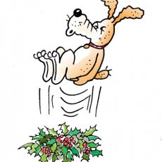 Countdown to Christmas Part 2 Countdown to Christmas Part 2